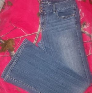 American Eagle Jeans 14 Long